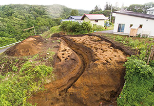 Amazon.co.jp: 『 宮城県文化財調査報告書第184集 市川橋遺跡の