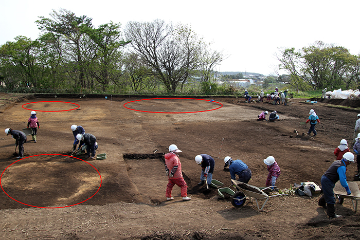 横浜町林ノ脇遺跡5月9日