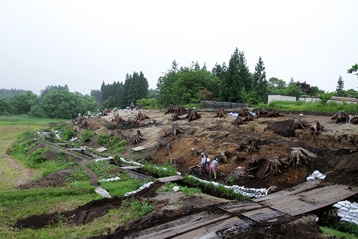 七戸町舟場向川久保(2)遺跡7月3日1枚目