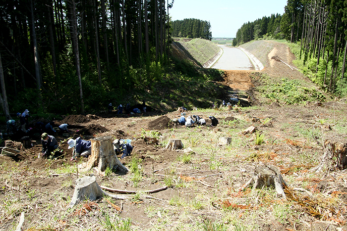 むつ市酪農(3)遺跡5月14日調査風景