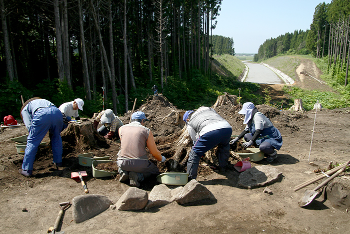 むつ市酪農(3)遺跡6月26日