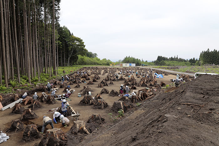 鉢森平遺跡の狩場