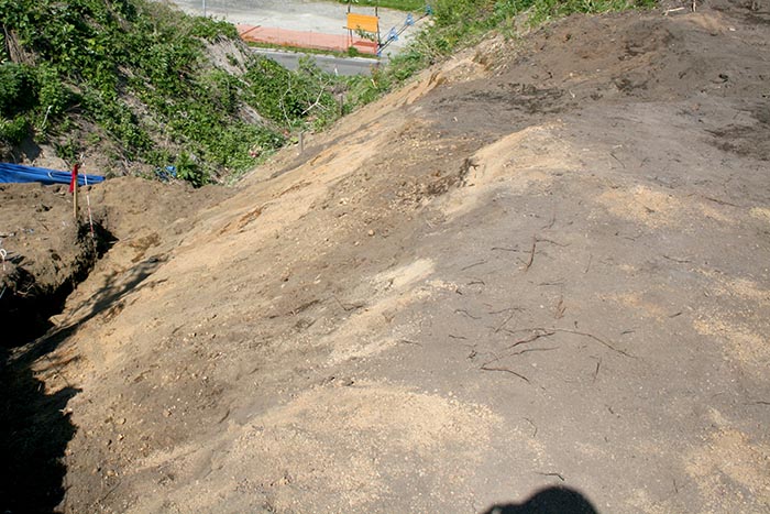 戸来館遺跡堀跡