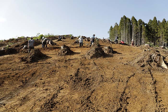 北熊ノ沢遺跡斜面部の調査の様子