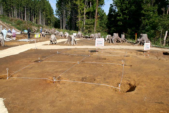 平安時代の遺構(掘立柱建物跡)