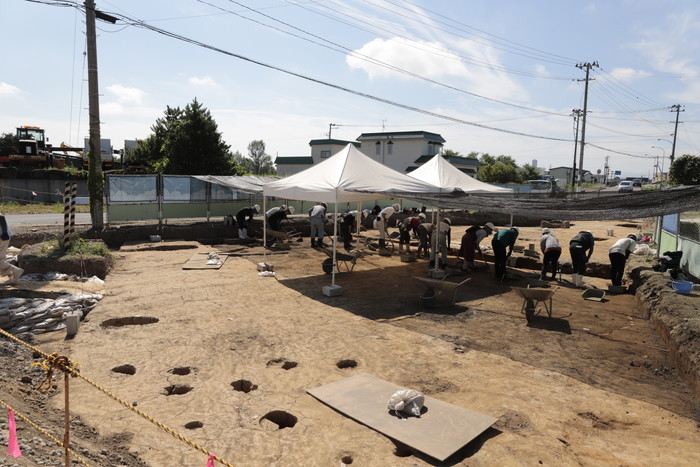 20250801発掘風景1