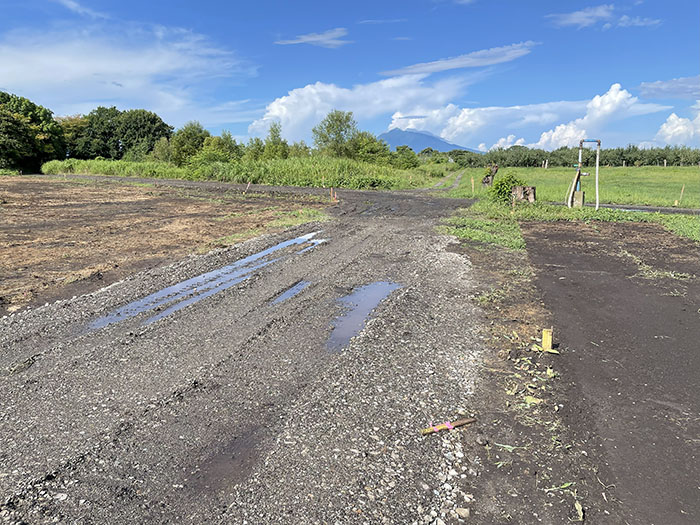 調査した場所から岩木山を望む