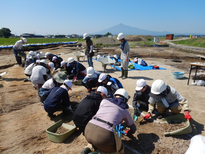 20250709掘体験の様子①