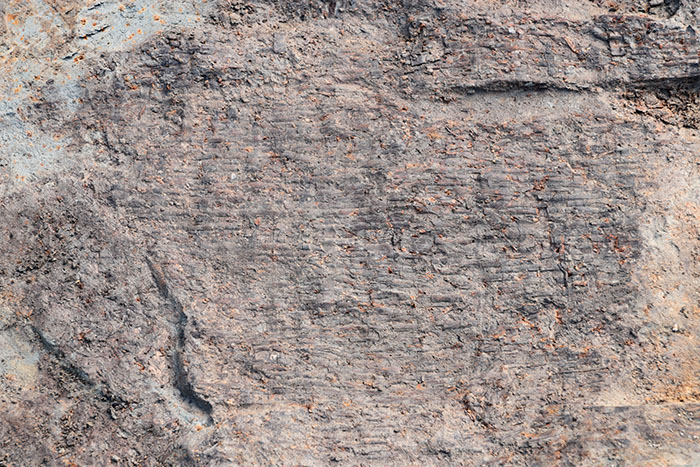 溝跡から出土した網代