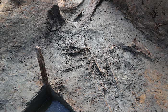 溝跡から出土した箸