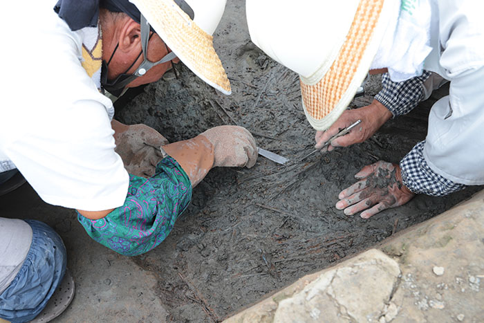 箸の取り上げ状況