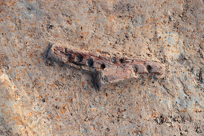 溝跡から出土した火きり臼