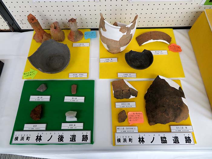 横浜町林ノ後・林ノ脇遺跡