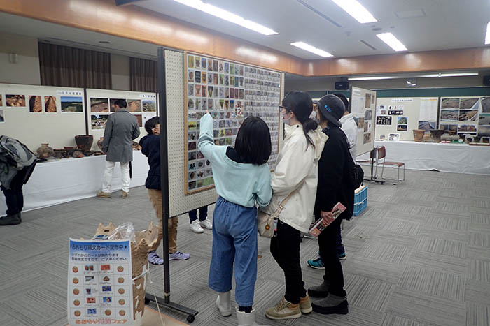 あおもり縄文カードの展示