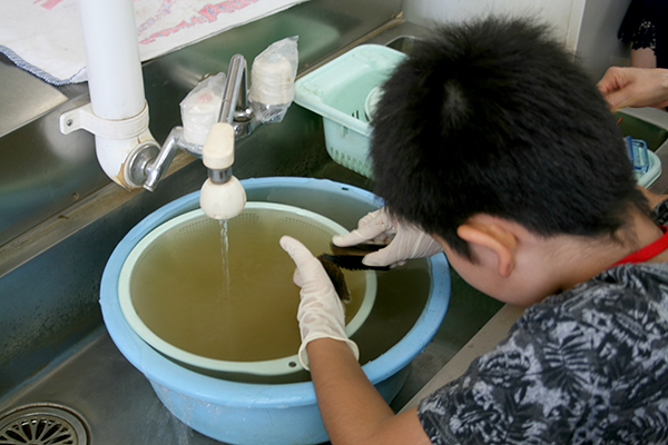 2回目水洗い体験