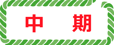 中期ボタン