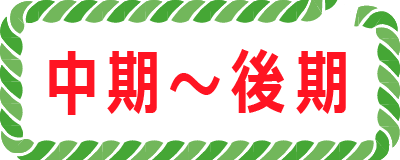 中期～後期ボタン